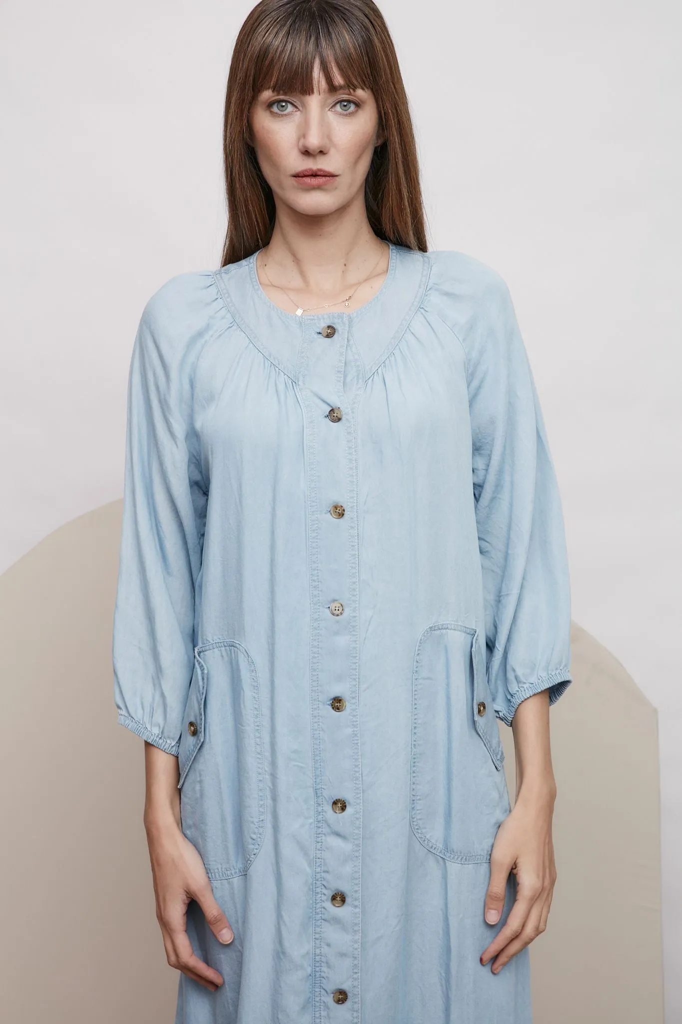 Button Denim Dress with Pocket Detail