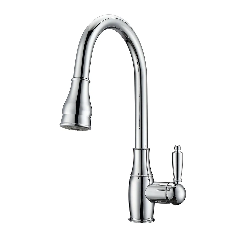 Caryl Single Handle Kitchen Faucet with Single Handle 2