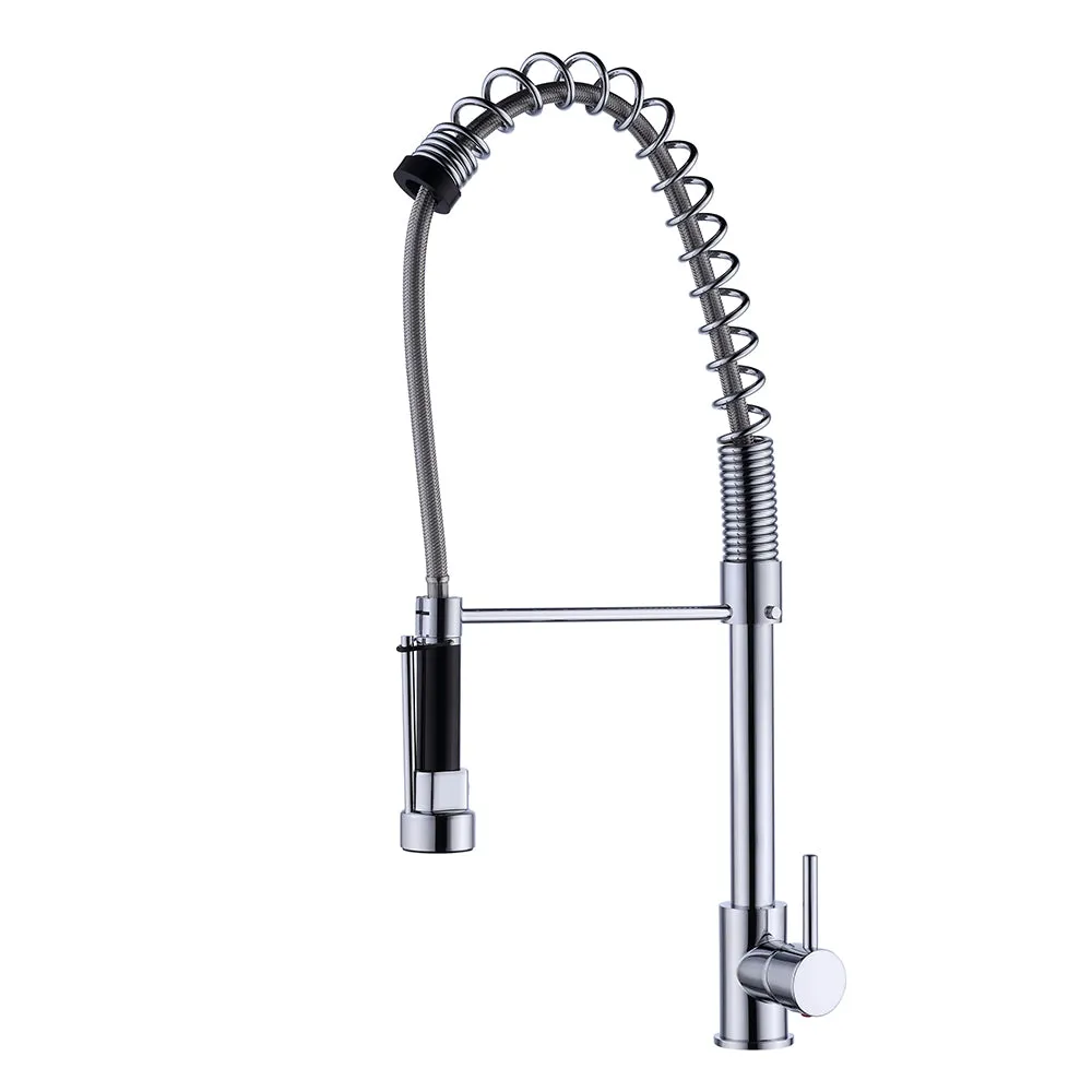 Celie Single Handle Kitchen Faucet with Spring Spout