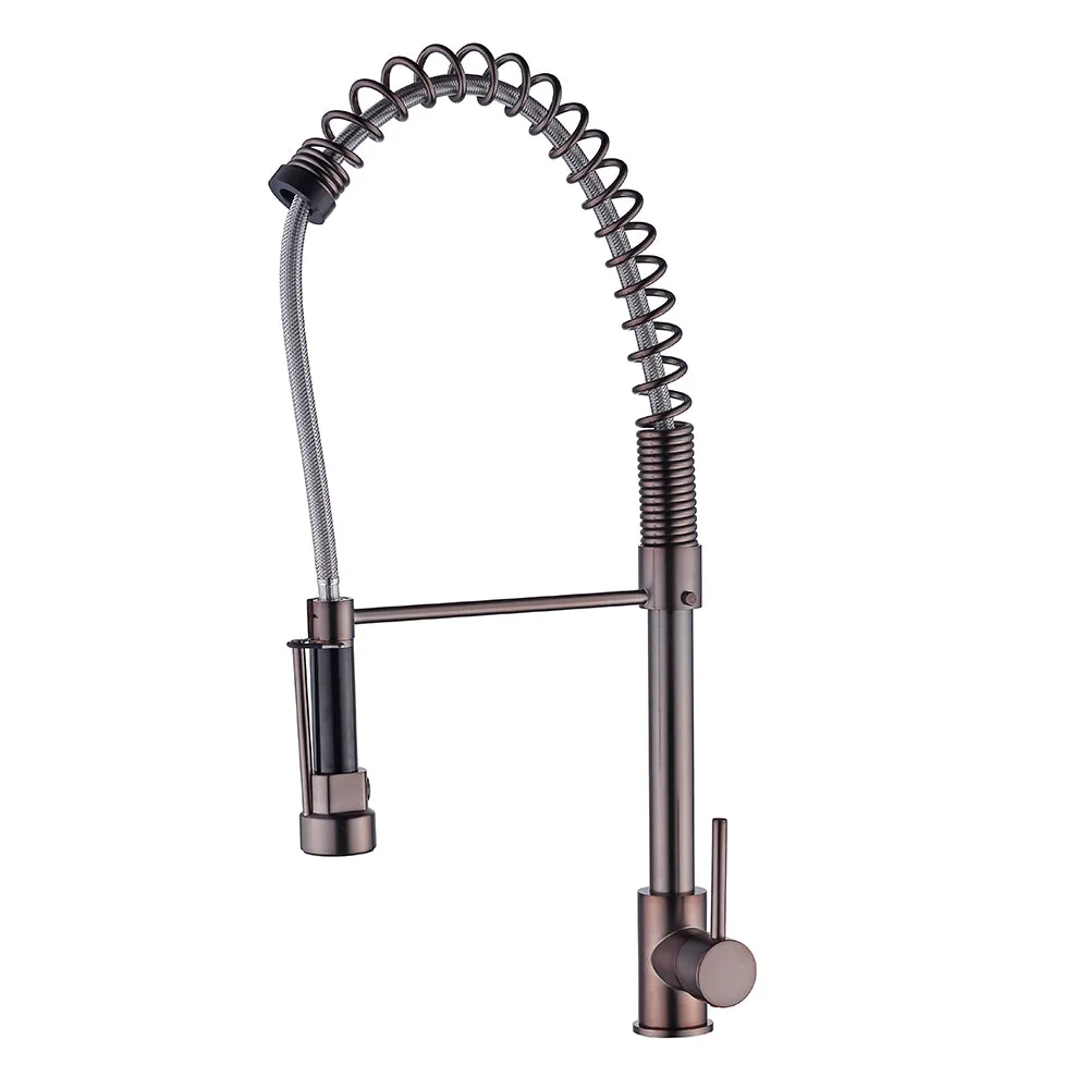 Celie Single Handle Kitchen Faucet with Spring Spout